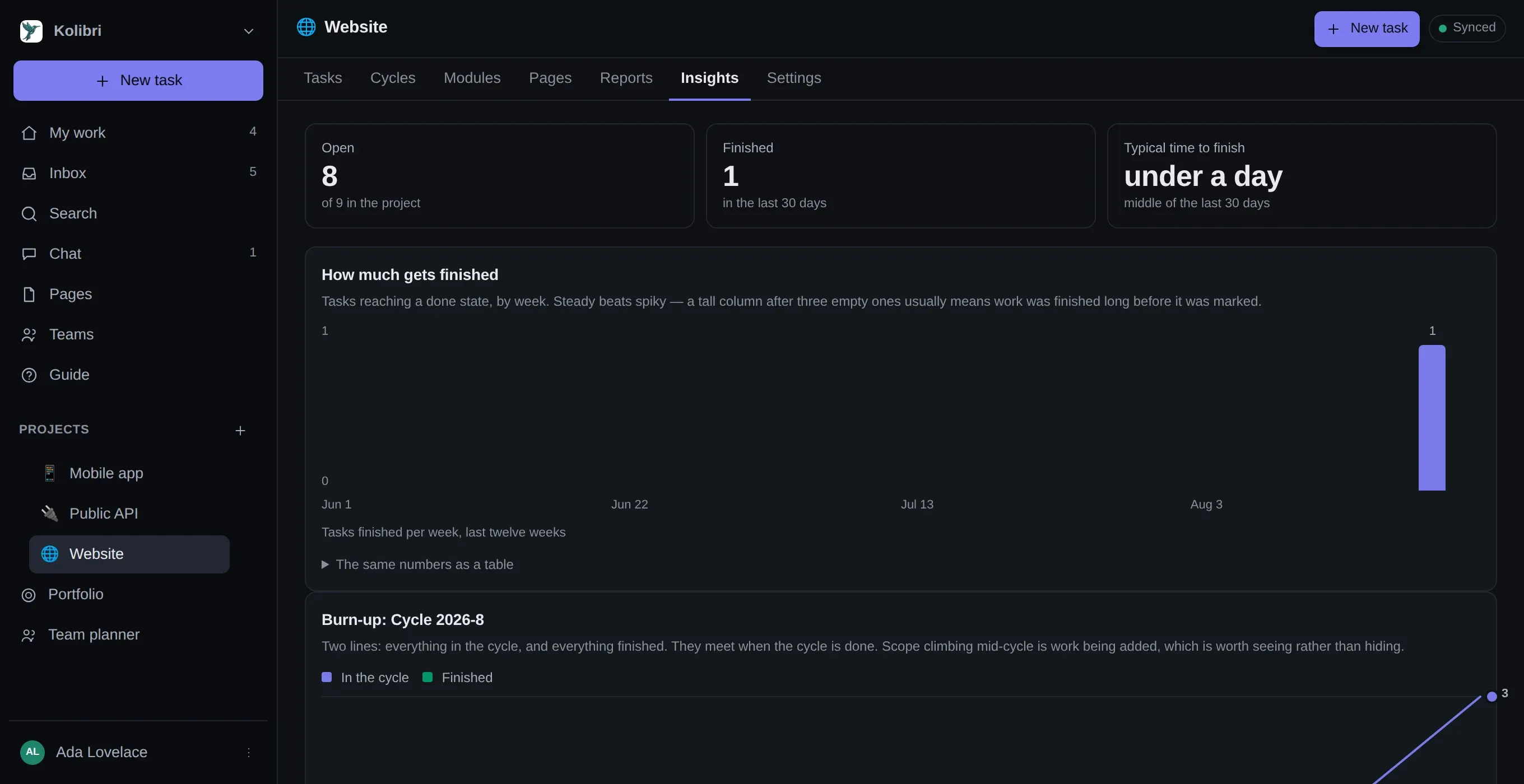 The Insights tab: three headline numbers above a weekly throughput chart and a cycle burn-up, each with its explanation and a link to the same numbers as a table.