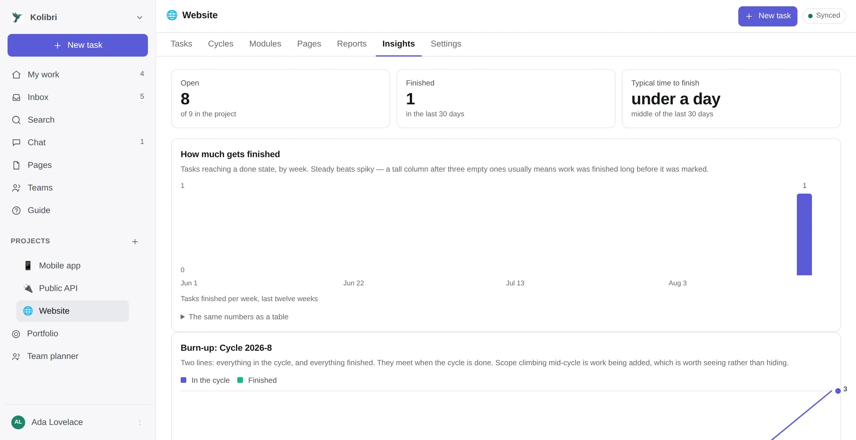The Insights tab: three headline numbers above a weekly throughput chart and a cycle burn-up, each with its explanation and a link to the same numbers as a table.